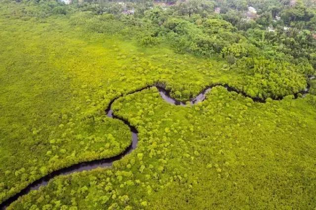 帕劳群岛旅游攻略大全,超强整理去帕劳不得不看的攻略