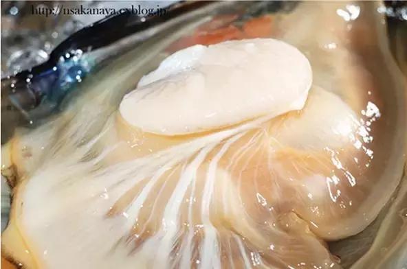 又双叒叕吃人家生殖腺！老不要脸了