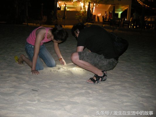 各种办法抓螃蟹,怎样才能轻松抓到螃蟹