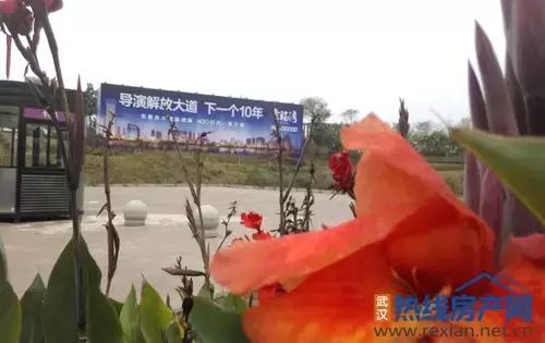 实力爆满却是捧不热的配角！幸福湾如何导演解放大道？|看房情报
