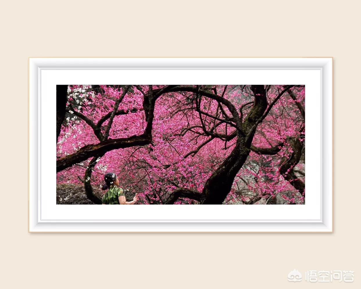 抑郁症不敢社交怎么办,抑郁症会有社交恐惧症吗