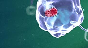 宝宝嘴里白白的能擦掉是什么,宝宝嘴巴里是什么颜色