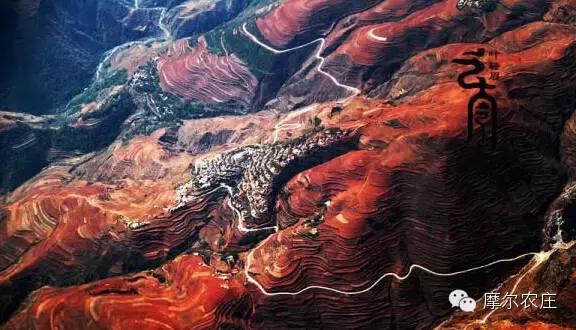 衡水你好，我叫云南，这是我的简历