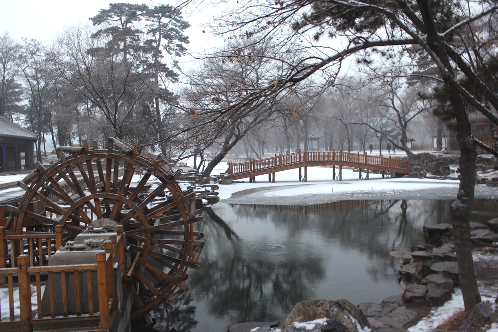 和初雪最温馨的相遇,和初雪撞个满怀