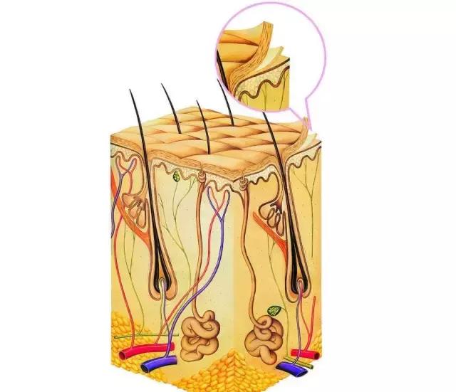 冬天宝宝皮肤干燥怎么保护,宝宝冬天身体皮肤干燥怎么办