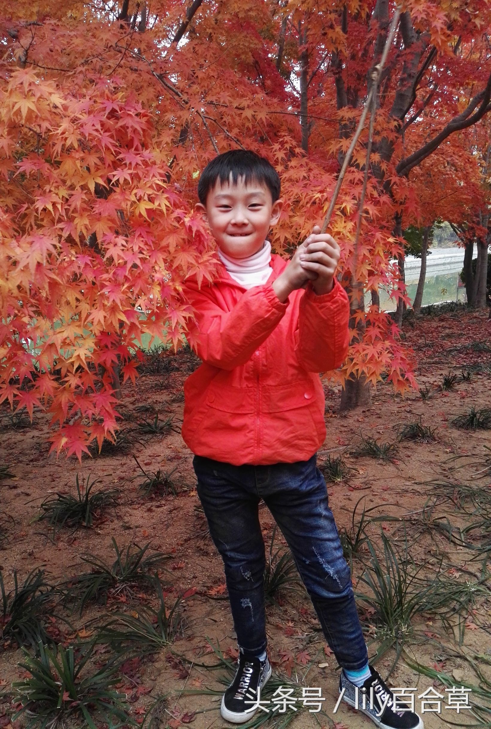 鬼马少年完整版,鬼马少年系列