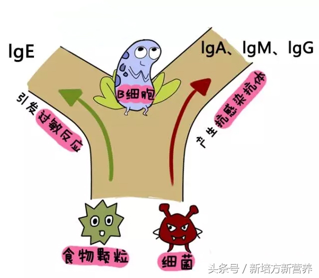 宝宝湿疹用激素药副作用,治疗湿疹的激素类软膏副作用