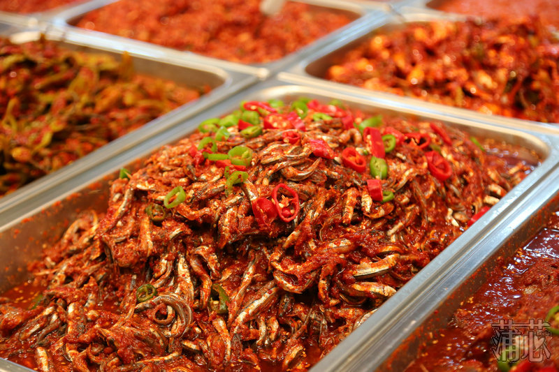 济州岛看枫叶,济州岛枫叶