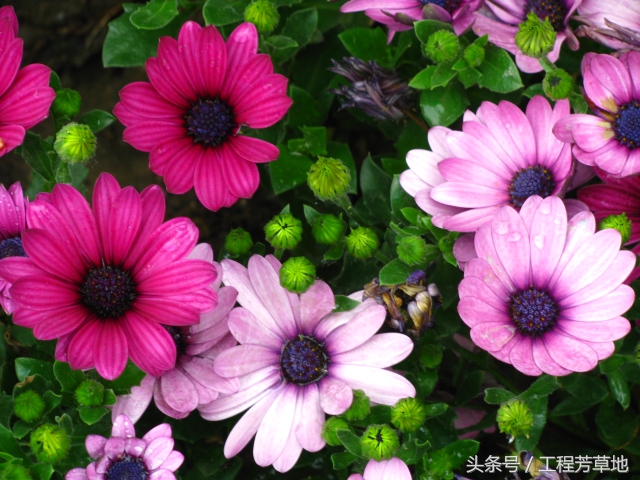 装修公司工程部经理属于什么岗位,工程副总与工程部经理区别