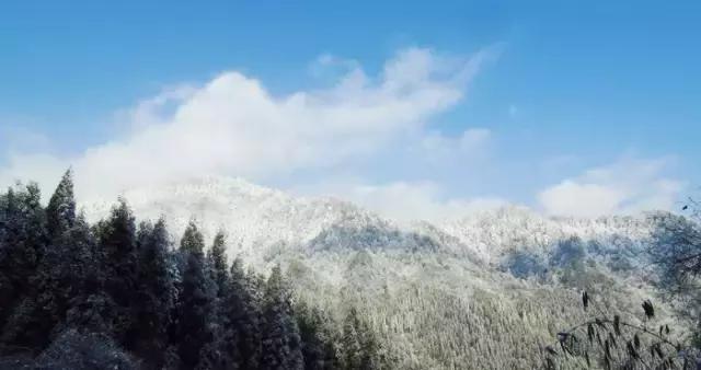 成都冷空气十足,四川成都冷空气来袭
