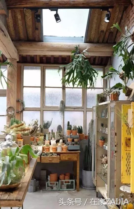 开家花店荒度余生赚得不多,开家花店度过余生