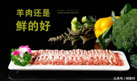 火遍全国的网红火锅店,为火锅店代言的网红