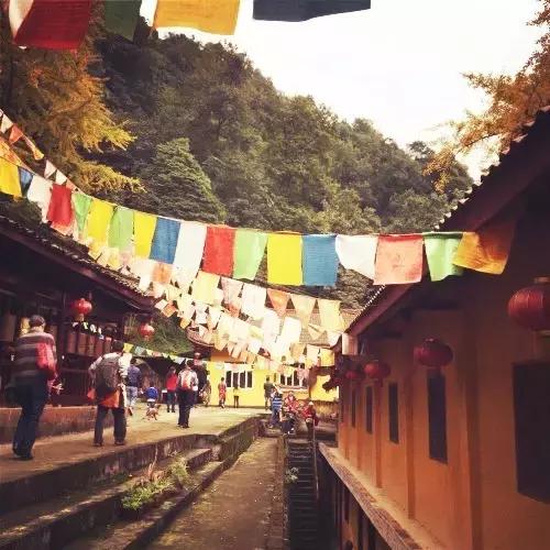 成都寺庙看银杏最美的地方,成都市最美银杏树在什么位置