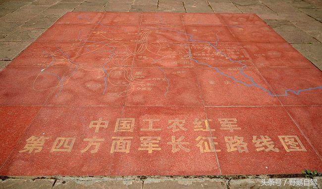 新疆野鹅自驾游视频,野鹅圣诞节自驾游