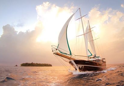 ENFJ如何用兴趣爱好赚钱？