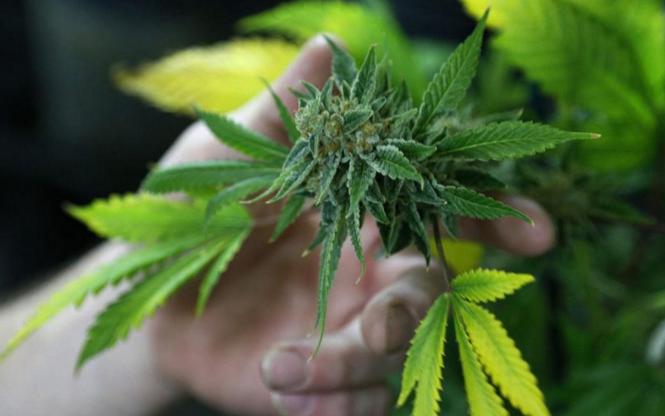 看到有人售卖这种“棒棒糖”，请立刻打110