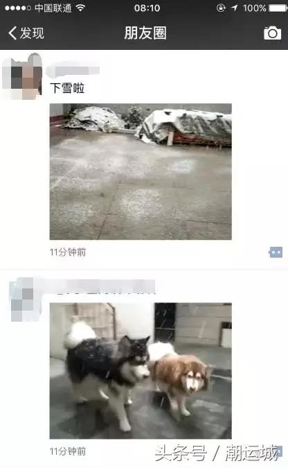 运城雪景有多美,山西省运城市第一场雪