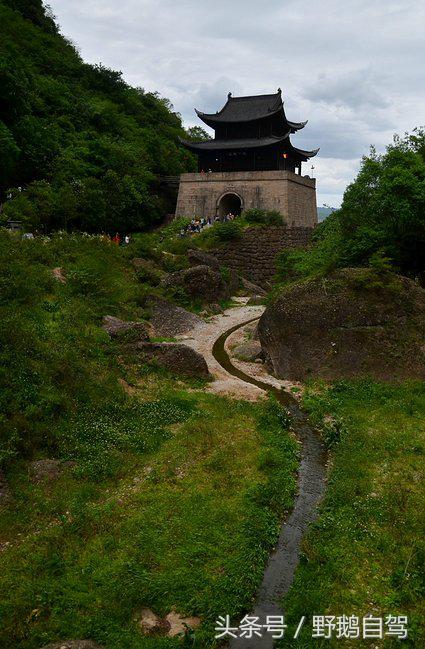 新疆野鹅自驾游视频,野鹅圣诞节自驾游