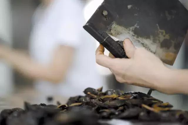 湘潭故事槟榔在湘潭排行,湘潭槟榔故事