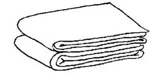 养宠物的正确方法和注意事项,养宠物的最佳方法和注意事项