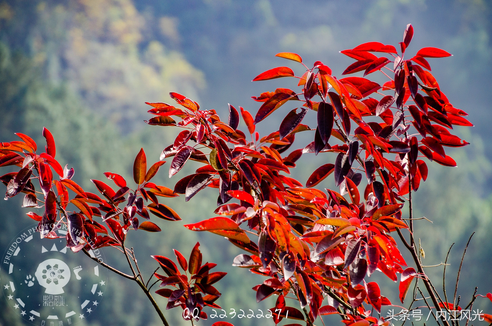 攀越震撼的内江威远高顶寨
