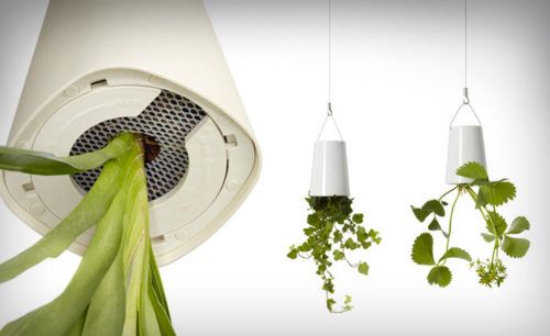 彻底告别植物杀手,告别植物杀手