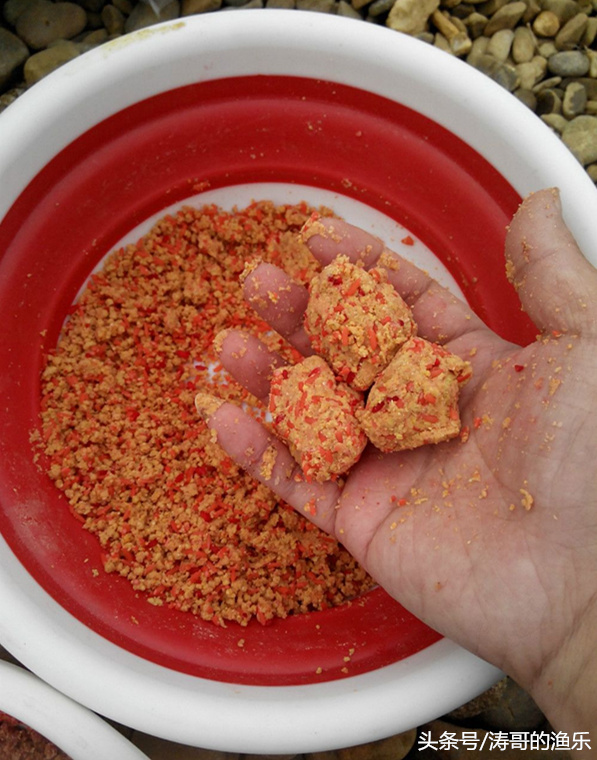 青鱼狂提饵料,青鱼狂拉视频