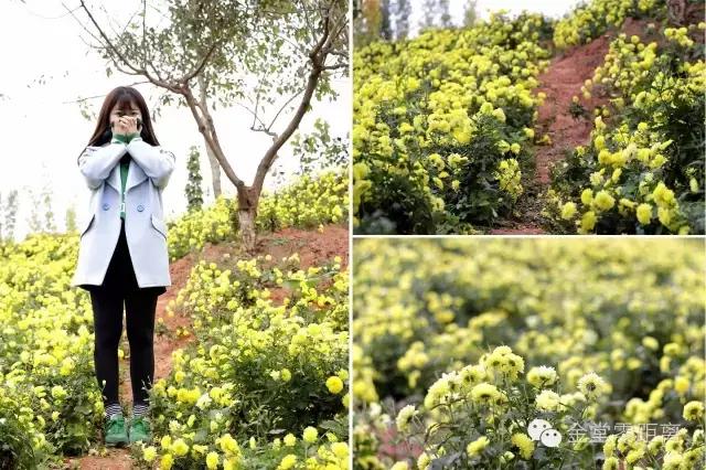 航拍金堂玉皇山,玉皇山登高金堂