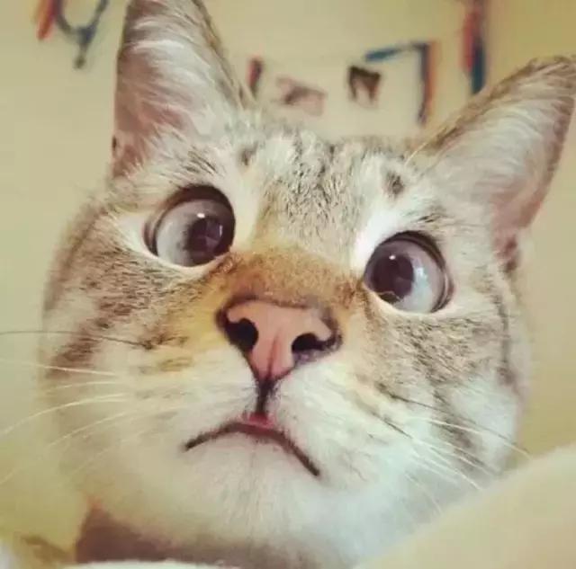 自测宝宝是不是“斗鸡眼”!爹妈别再瞎操心了哈~