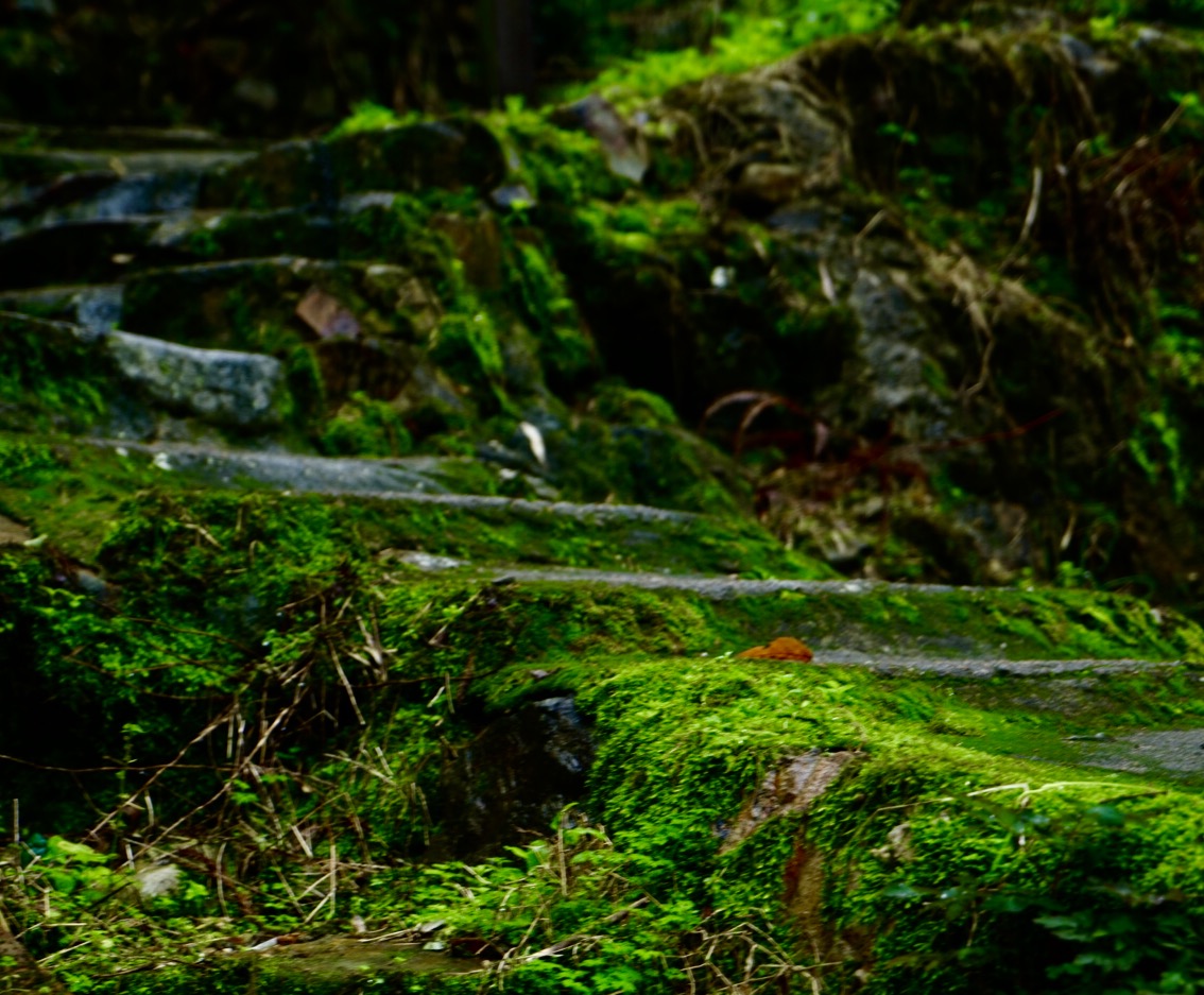 温州三八妇女节好玩的地方,温州三八节活动
