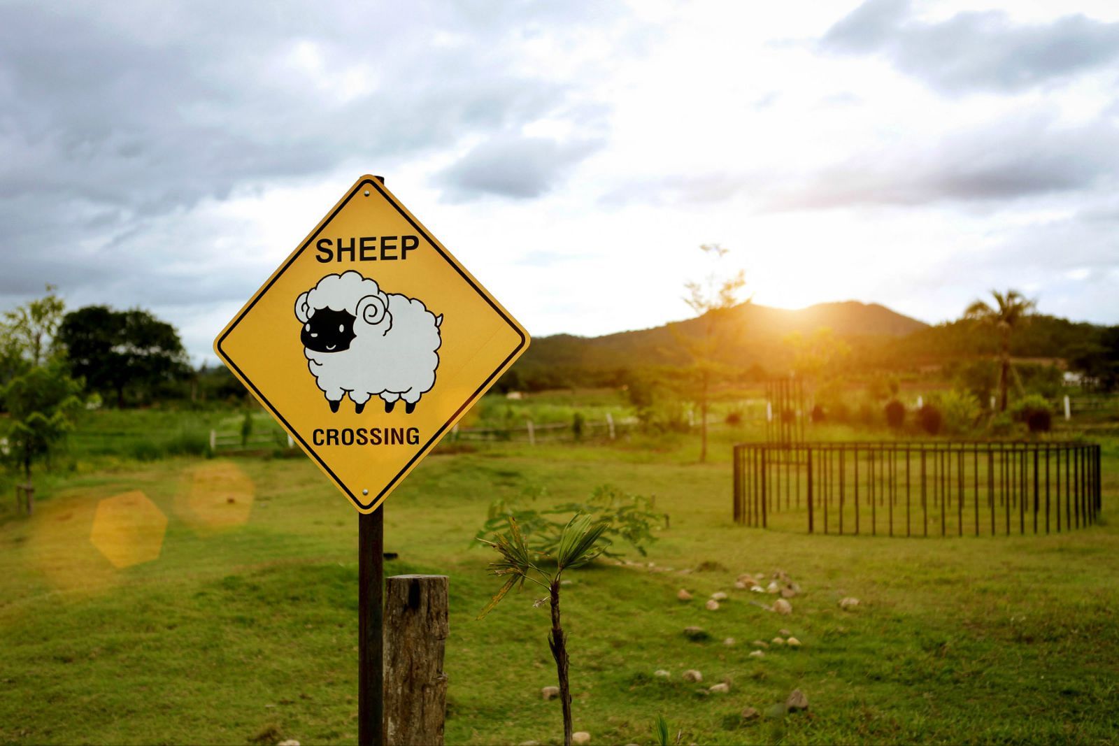 感恩节最暖心的礼物,感恩节收到的最好的礼物