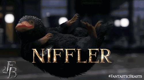 读了麻瓜麻鸡魔法入门，《神奇动物》会好看100倍