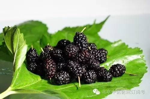 桑葚干是否有养肝的作用,桑葚泡水喝能养肝护肝