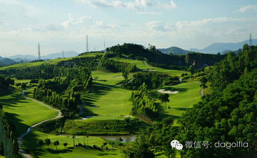 高尔夫优惠团购99元直播,国际高尔夫订场