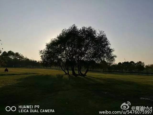 工大附中怎么学的,你咋这么美蒙语怎么说