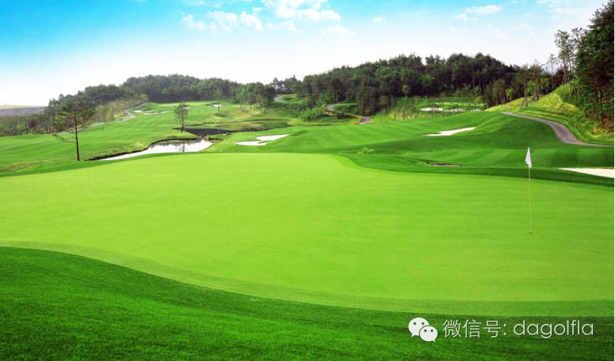 高尔夫优惠团购99元直播,国际高尔夫订场