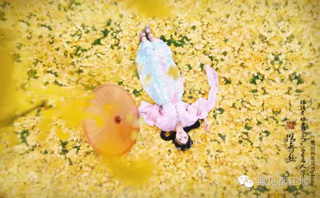 成都西部银杏第一村 (成都市周边哪里的银杏最多最美)