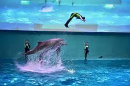 旅游景区收到游客投诉价格偏高,景区门票调价投诉