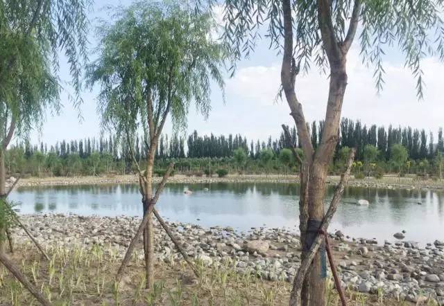 包头城建大项目,包头市新建公园