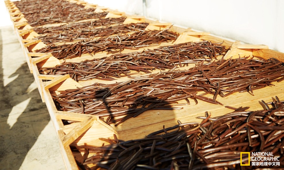 香草之岛留尼汪，上帝私藏在印度洋的小盆景！