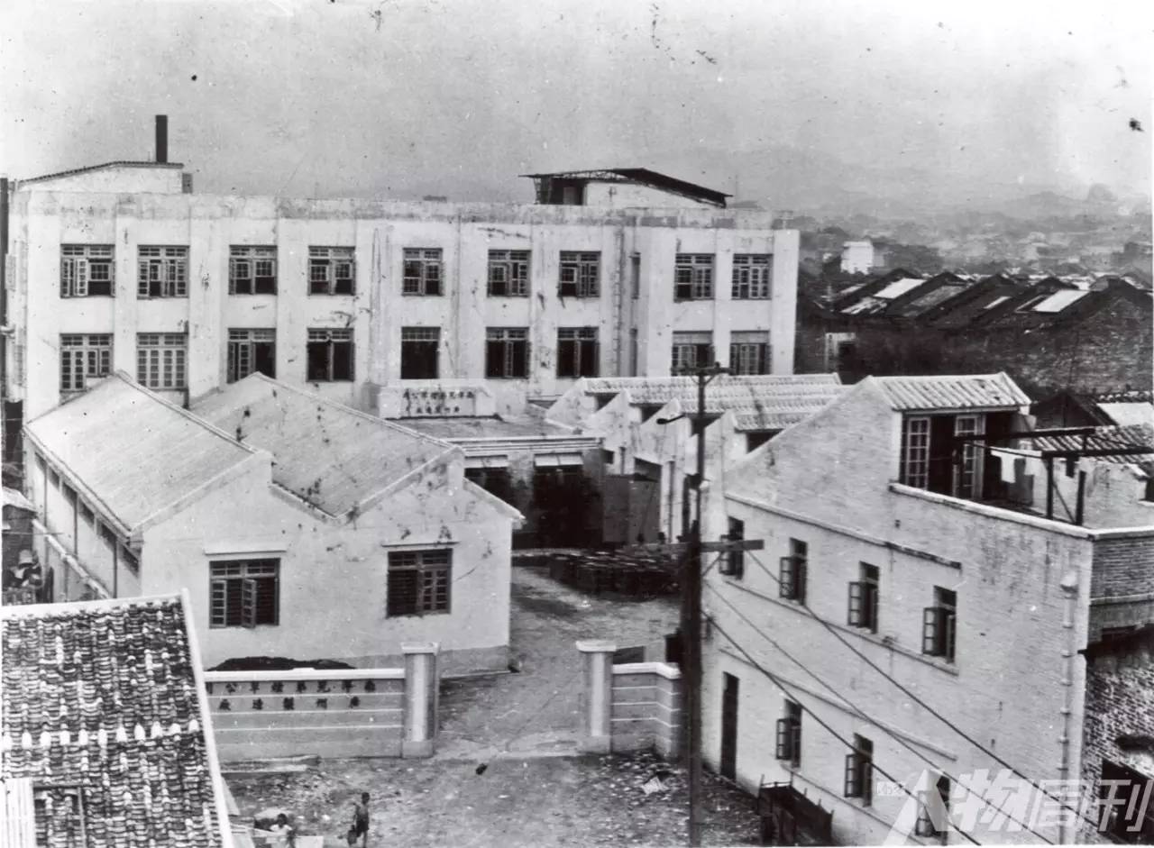 简氏兄弟毕生经历,简氏兄弟简介