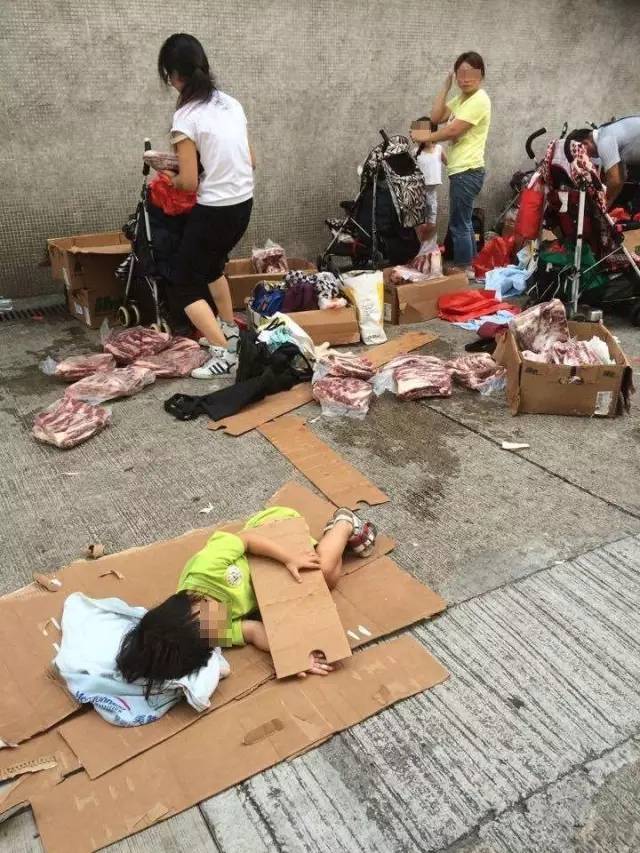 走进海关了解海关,福田口岸海关