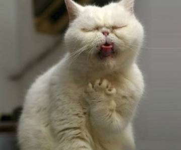 如果觉得国庆7天短,接下来你会知道7天有多长