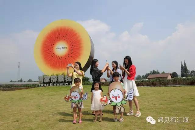 都江堰有什么比较好的主题酒店,创意无限餐具屋