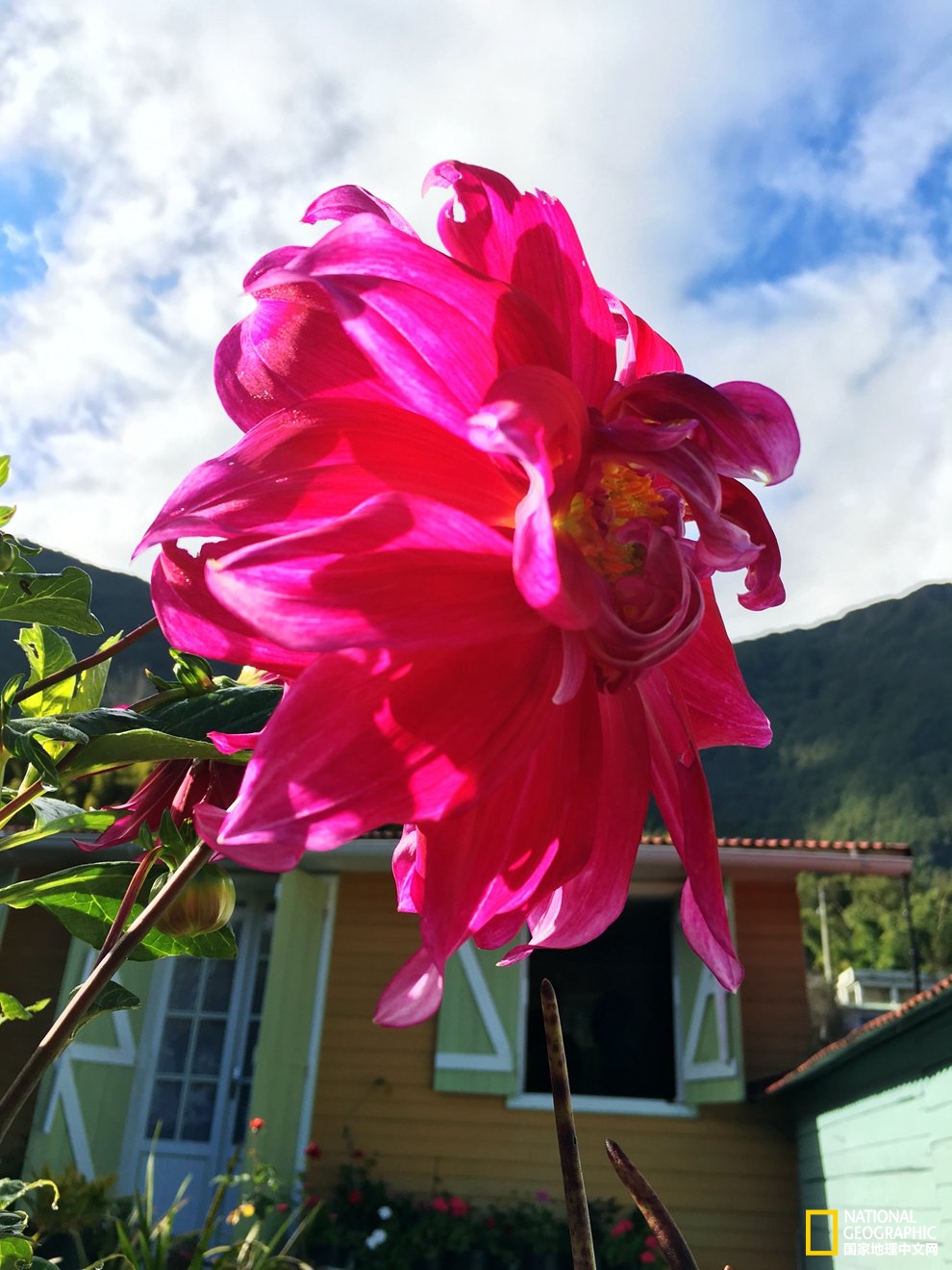 侠骨柔情展现的淋漓尽致,侠骨柔情温柔似水