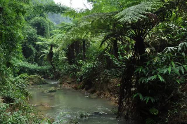 乐山五通桥小西湖美食广场,乐山小西湖
