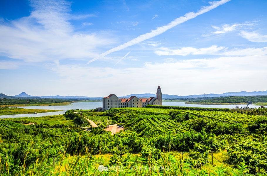 威龙葡萄,威龙葡萄酒庄园