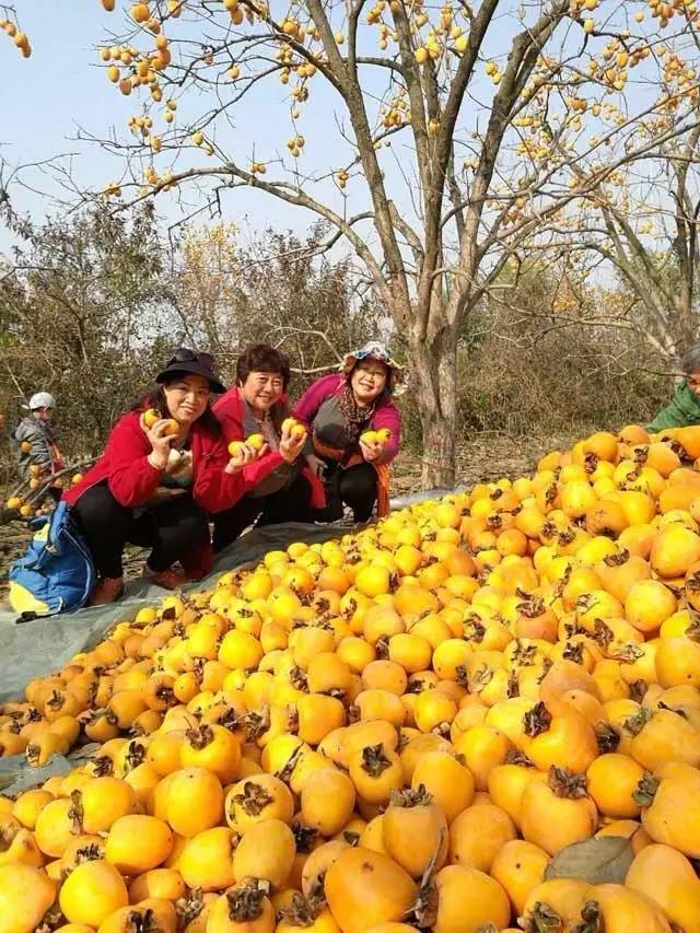 青荣烟威城际铁路开通,青威烟荣城际高铁