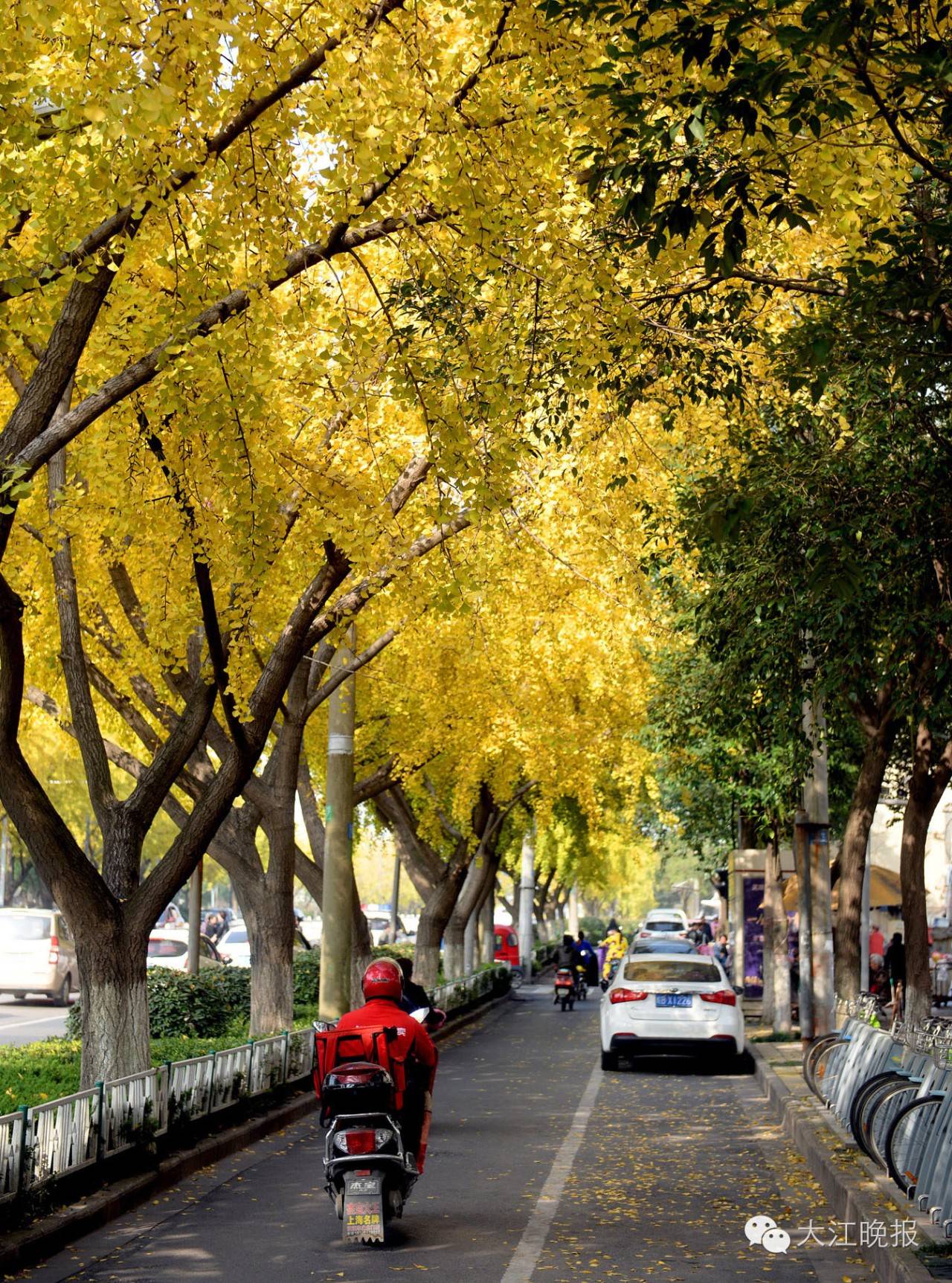 「围观」赶紧去九华山路看看吧！别人早就去过了！