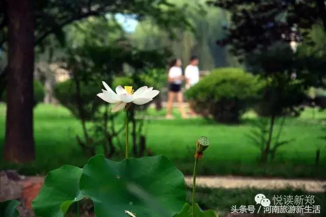 巩义吵架的视频,巩义吵架